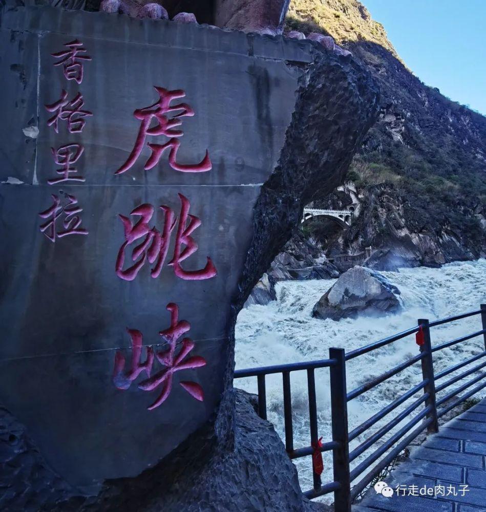 探探猫之飞刀大师